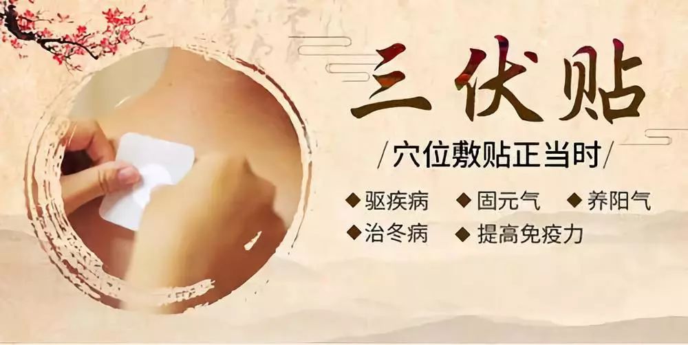 關(guān)于三伏貼，你了解多少呢？