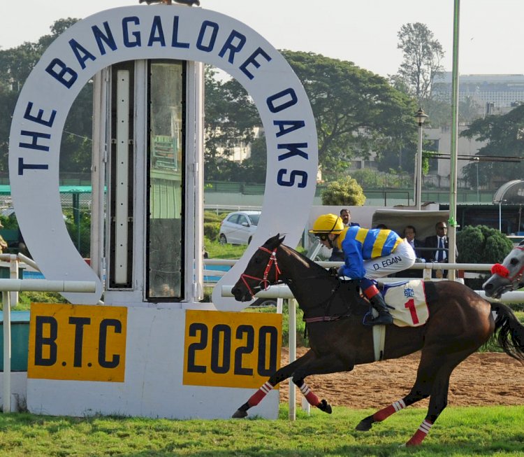 Bangalore Turf Club Horse Race