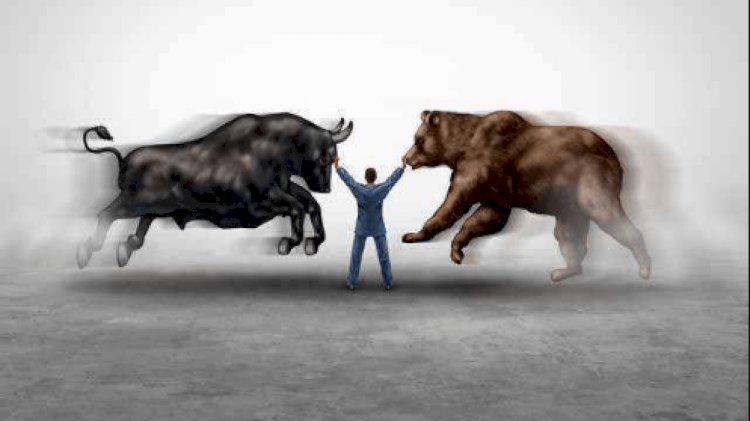 Bull VS Bear Markets